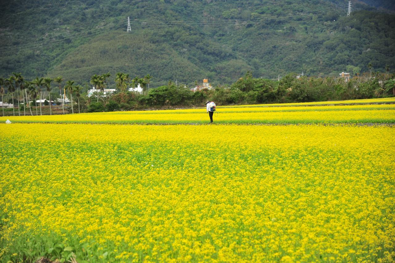 Guanshan Fukuda Homestay Экстерьер фото